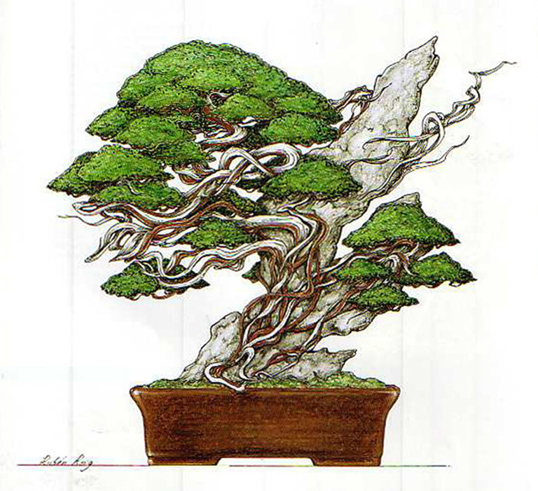 768x701 A Pencil And Paper, And A Desire To Improve Your Eye For Bonsai