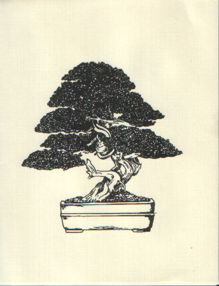 834x1087 The Art Of Bonsai Project