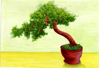 320x220 Bonsai Drawings On Paigeeworld. Pictures Of Bonsai