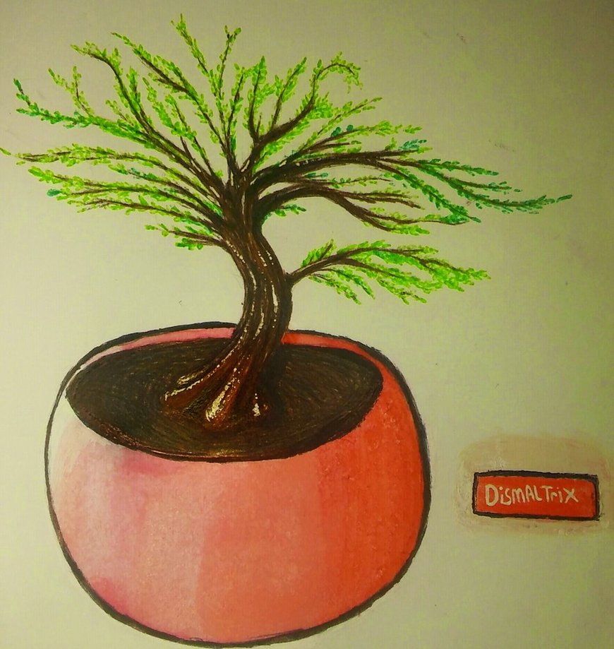 870x919 Bonsai Tree Drawing By Dismaltrix