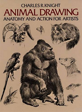 280x383 Best Books For Learning To Draw Animals Anatomy Amp Technique