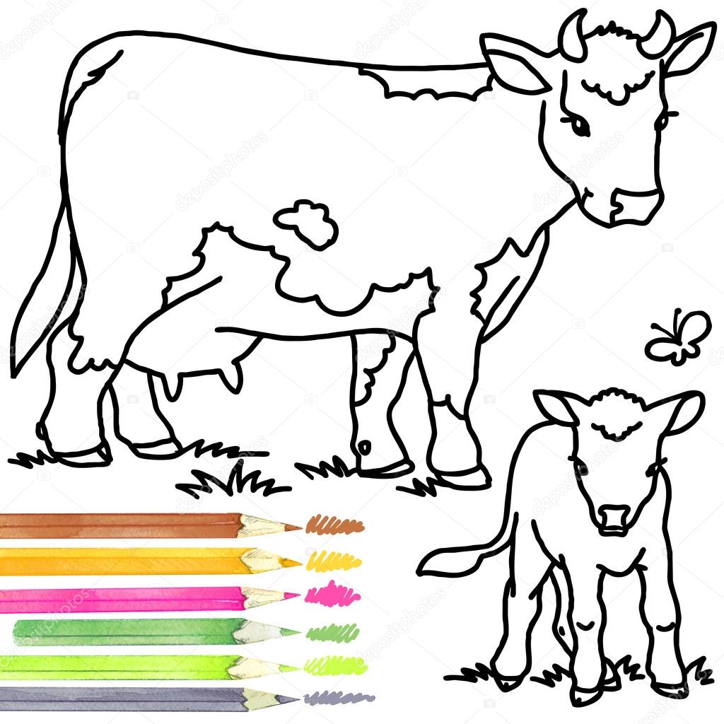 1024x1024 Cow And Calf. Coloring Book Cow And Calf. Cow Outline Drawing. Cow