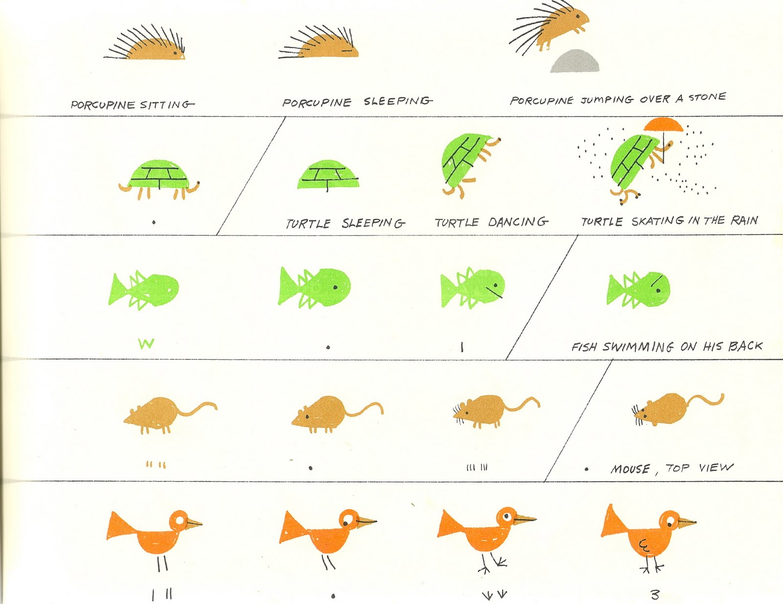 1600x1234 La Osa Curiosoa Curiosities Ed Emberley's Drawing Book Of Animals