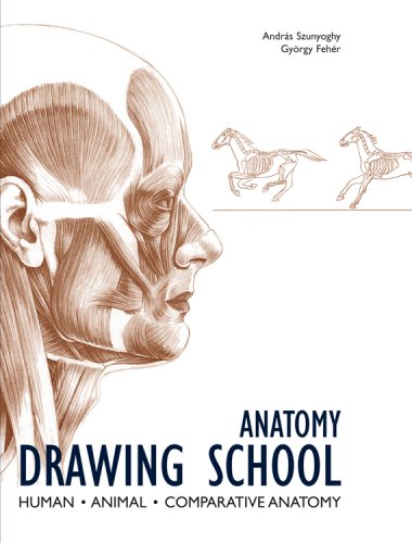 380x500 Best Anatomy Books For Artists (Some Of My Favourites) Parka Blogs