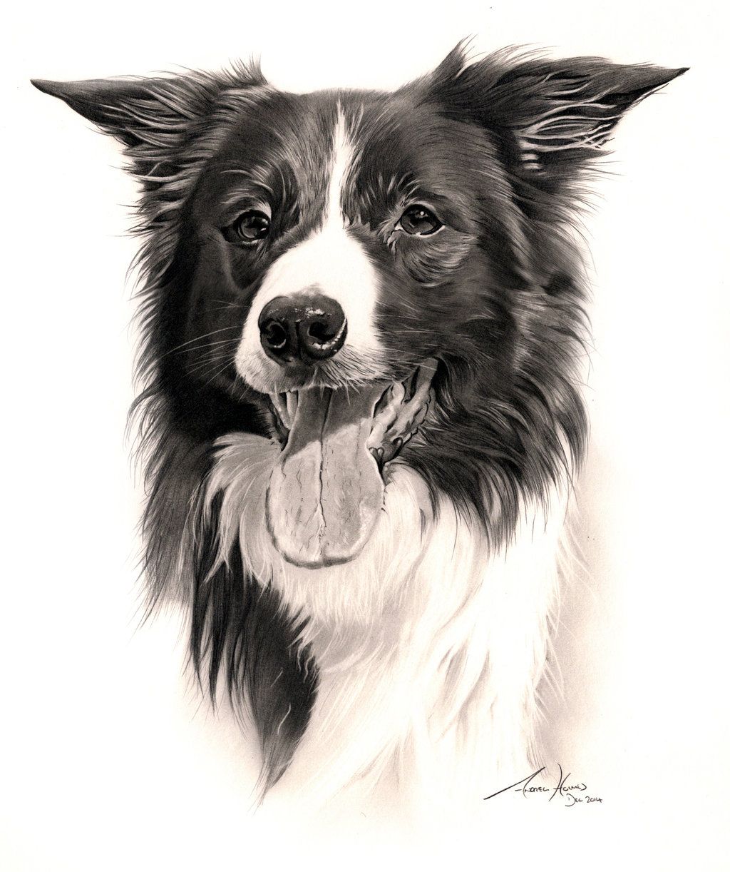 1024x1222 Commission