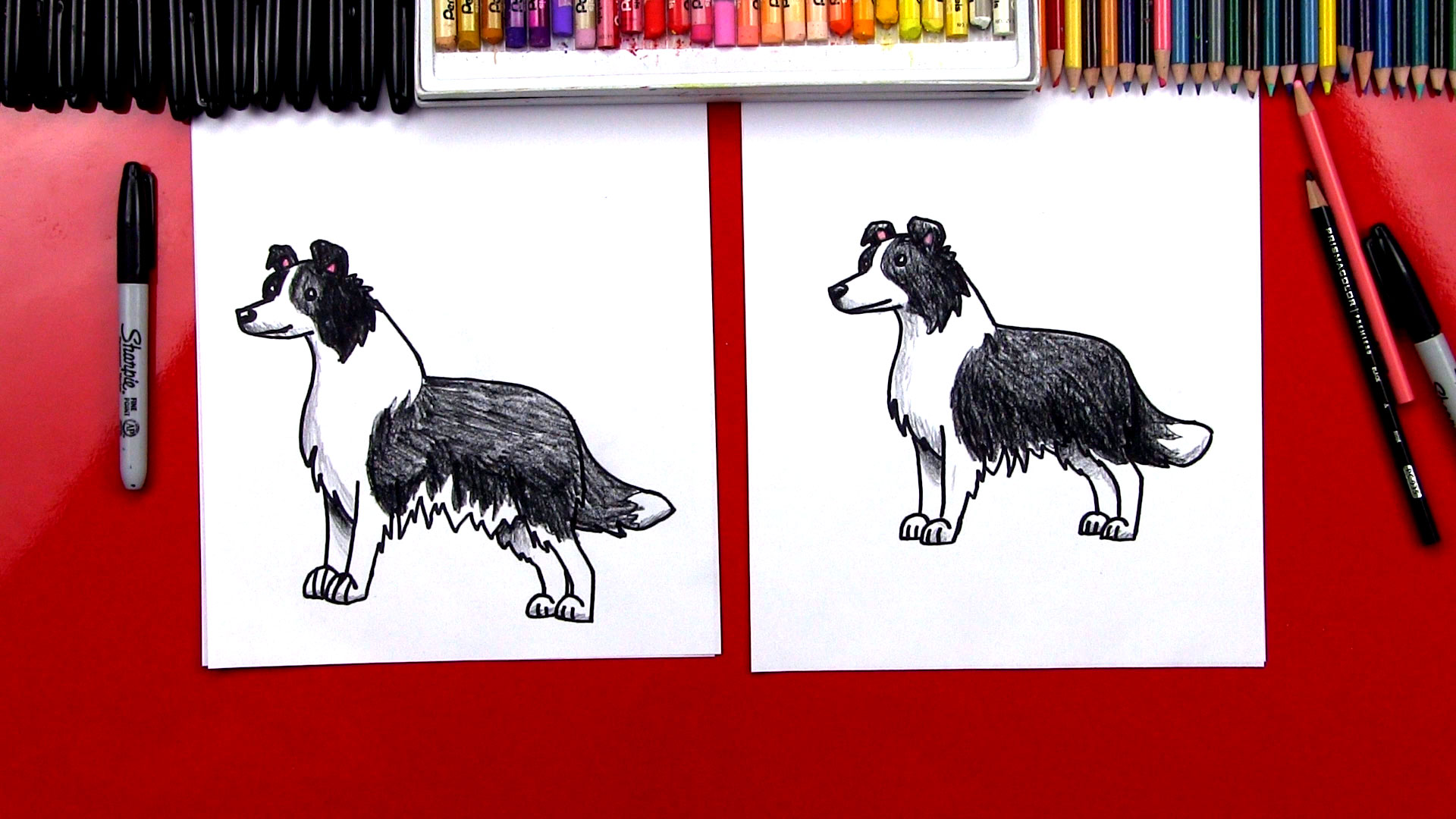 1920x1080 How To Draw A Border Collie