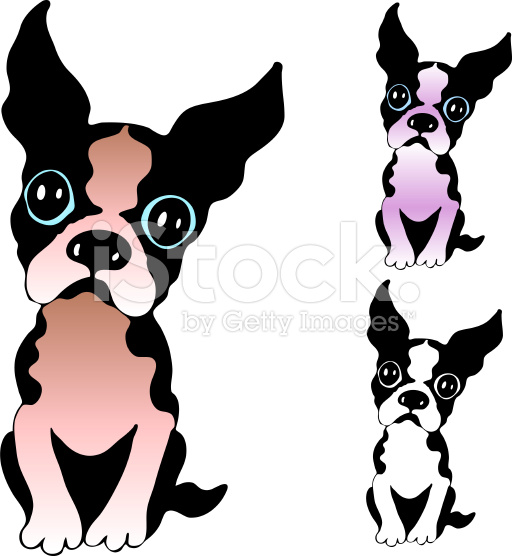 512x556 Boston Terrier Cartoon Drawings