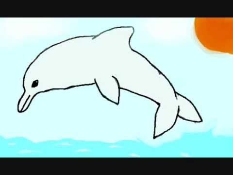 480x360 How To Draw A Bottle Nose Dolphin