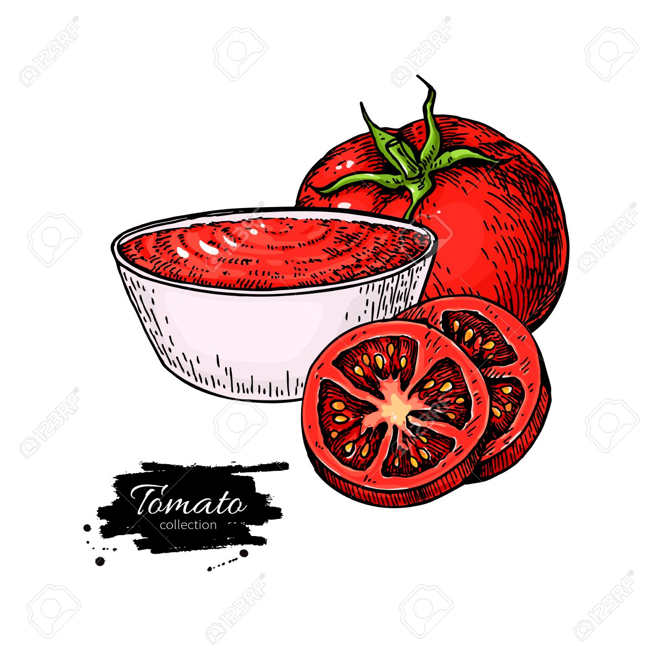 1300x1300 Tomato Sauce Drawing. Vector Isolated Illustration With Bowl