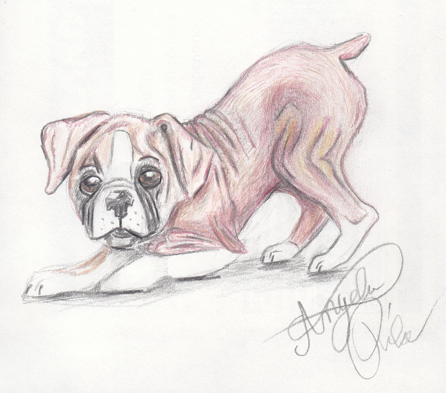 900x793 Play With Me Drawing By Angela Pike