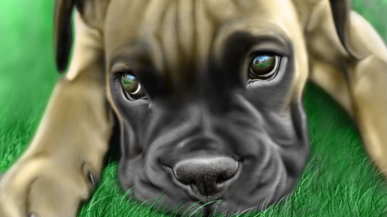 1280x720 Speed Painting