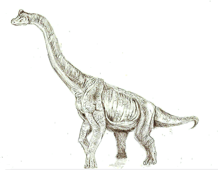 Brachiosaurus Drawing at GetDrawings | Free download