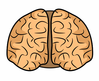 Brain Cartoon Drawing At Getdrawings 