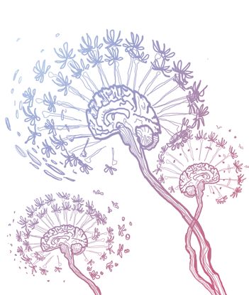 351x415 30 Best Brain Art Images On Brain Art, The Brain