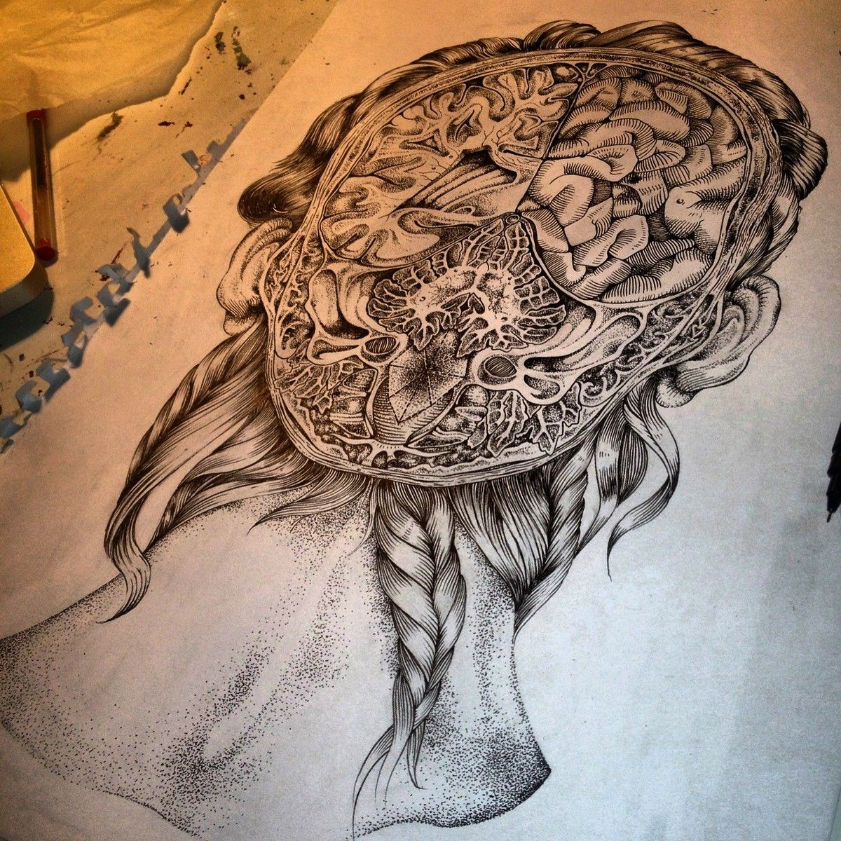 1200x1200 Brain Drawing Art