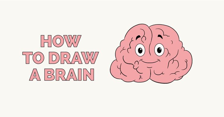 736x385 How To Draw A Brain