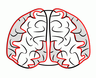 400x325 Simple Cartoon Drawing Of A Brain