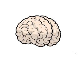 253x200 Image Result For Brain Drawing Tumblr Corpo Humano