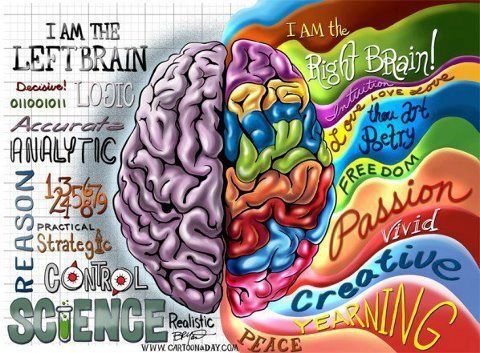 480x353 Left Brain Vs. Right Brain (Source Tumblr) Creativity