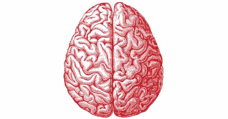 750x391 Brain Drawing Tumblr