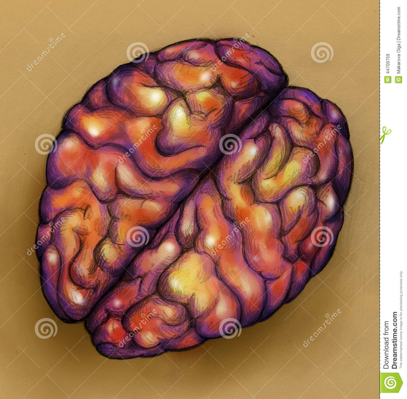 1325x1300 Pencil Sketch Diagram Of Brain Drawn Brain Pencil Drawing