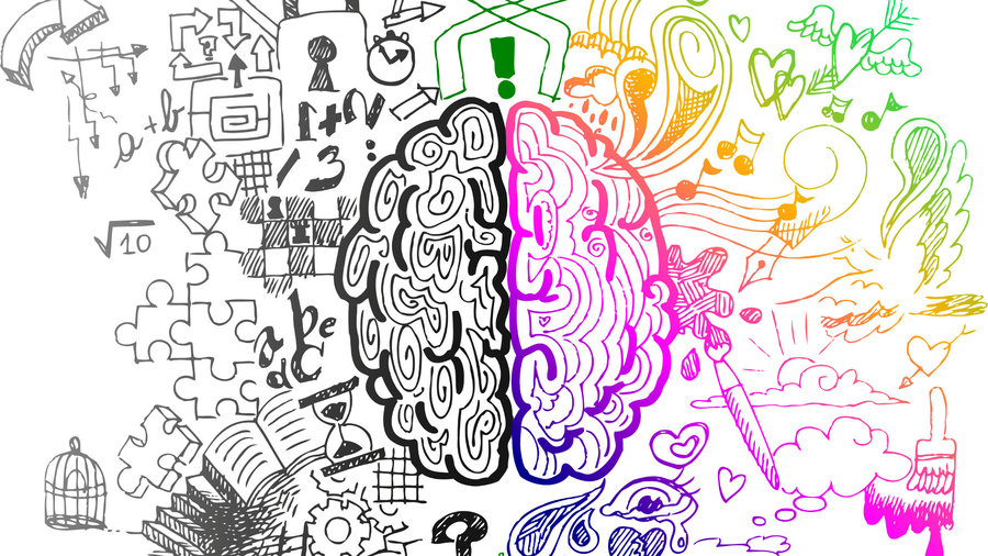 900x506 How Learning Art Alters Brain Structure Brain, Creative