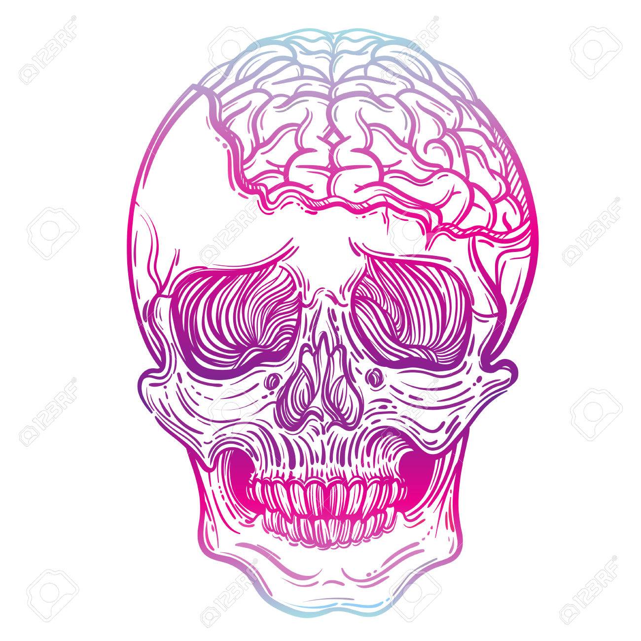 1300x1300 Vector Illustration With A Human Skull And Brains. Gothic Brutal