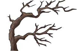 300x200 How To Draw Tree Branches
