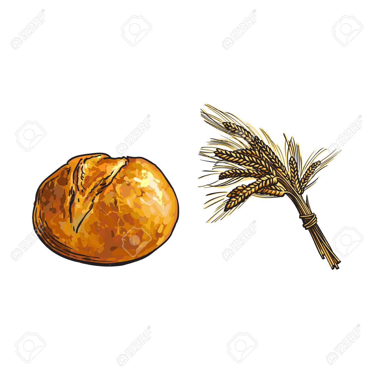 1300x1300 Vector Sketch Fresh White Round Rye Bread Loaf And Wheat Ears