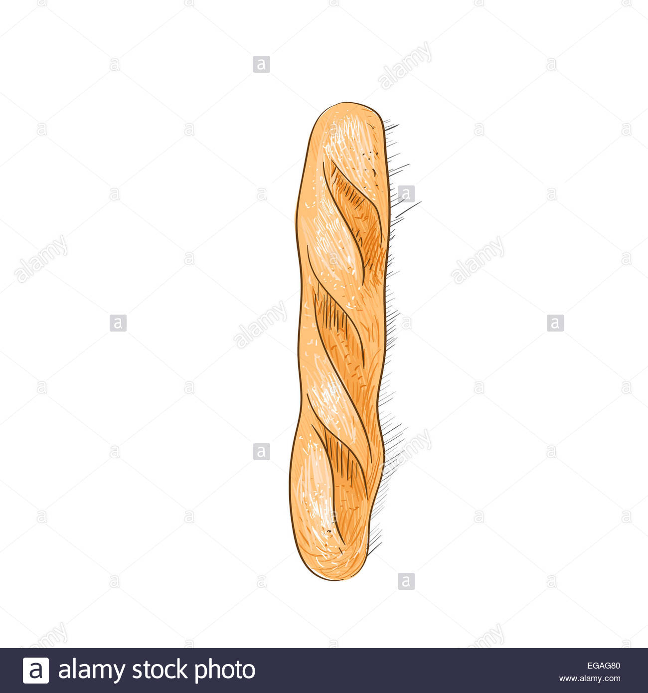 1300x1390 Bread Loaf Baguette Sketch Color Draw Isolated Over White