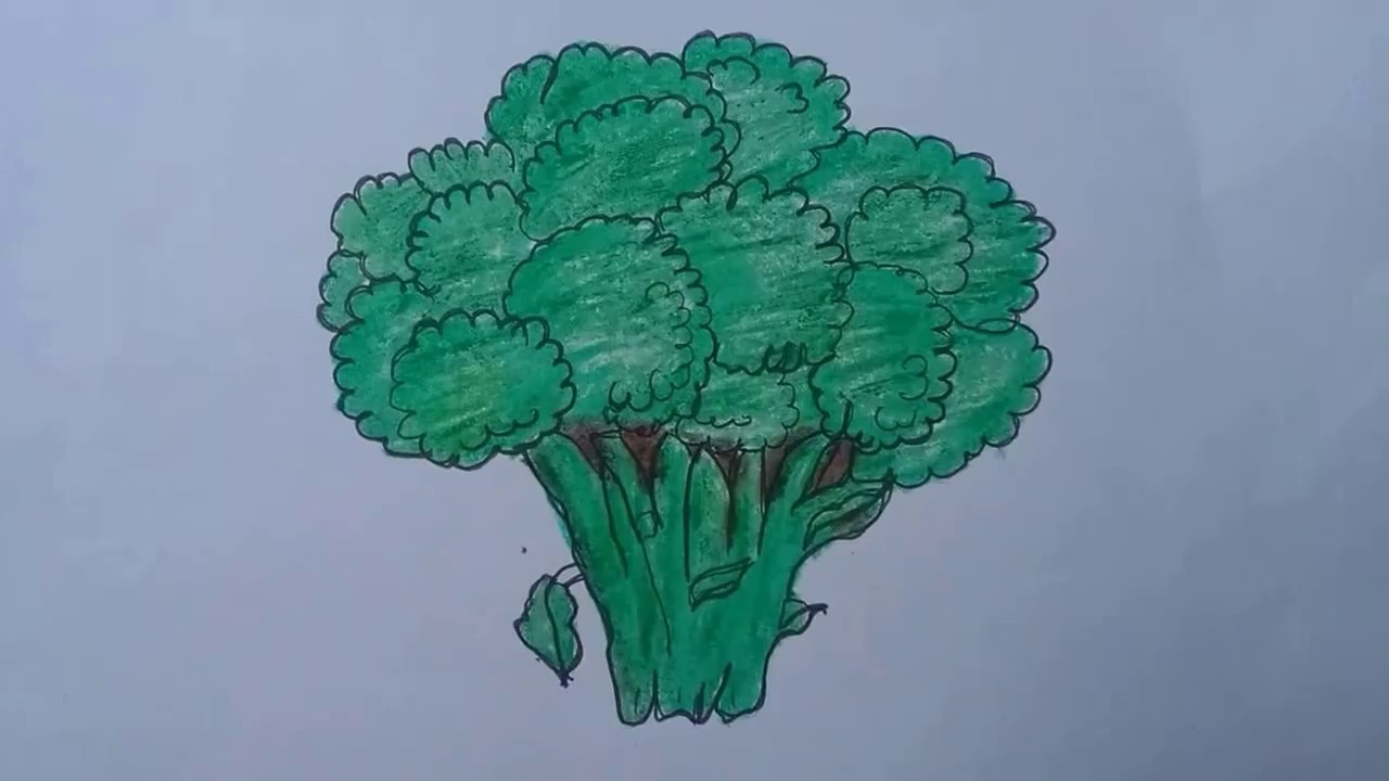 1280x720 How To Draw Broccoli With Basic Shapes L Easy Drawing L Broccoli
