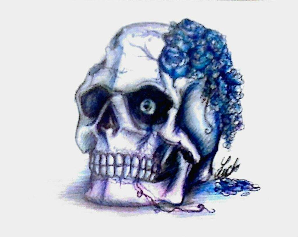 1024x816 Broken Hopes, Broken Skull Undertale Amino