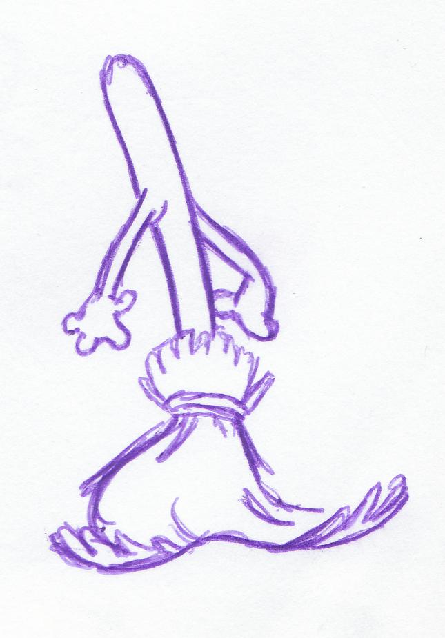 645x925 Fantasia Broom By Dirty Little Timbit