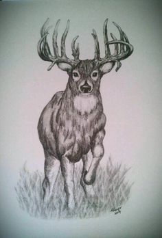 236x348 Sick As Hell Drawing Of A Whitetail Buck Hunting And Fishing
