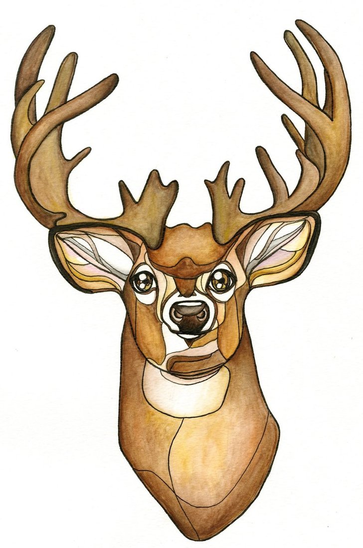 728x1097 Buck Head By Stephie Bailey