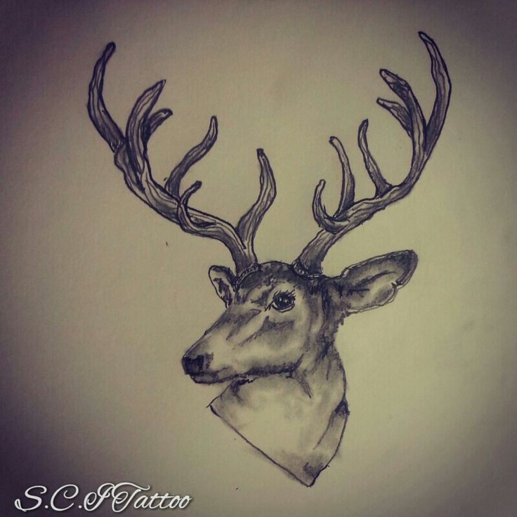 736x736 Deer Head Antler Tattoo Design By S.c J Tattoo
