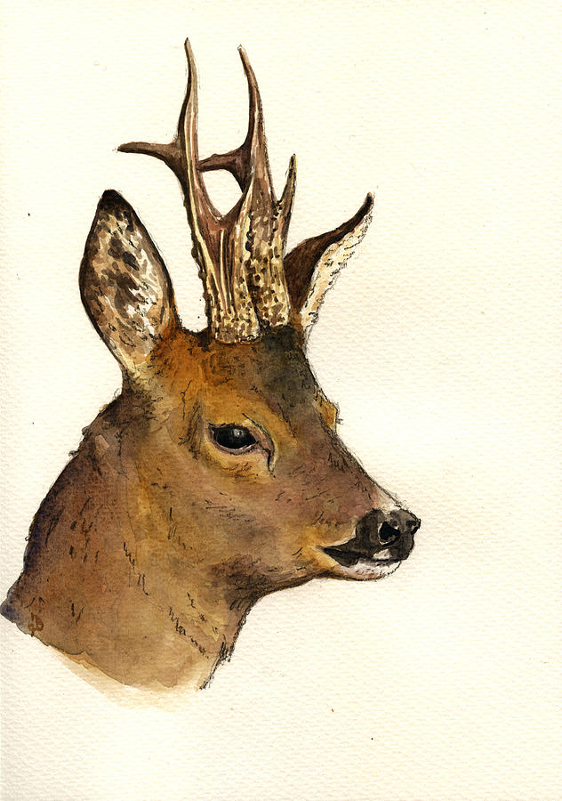 632x900 Roe Deer Head Study Painting By Juan Bosco