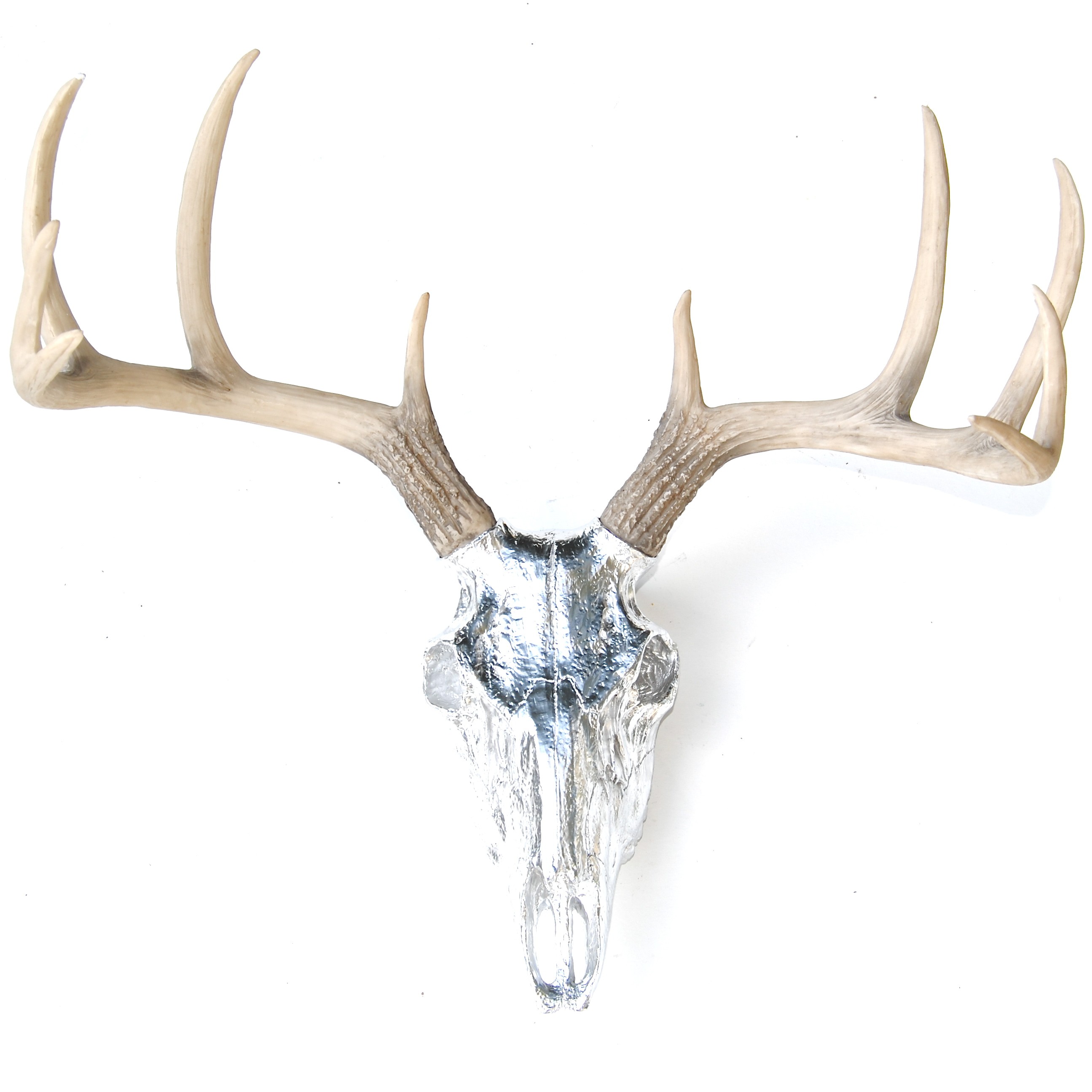 2591x2592 Faux Taxidermy