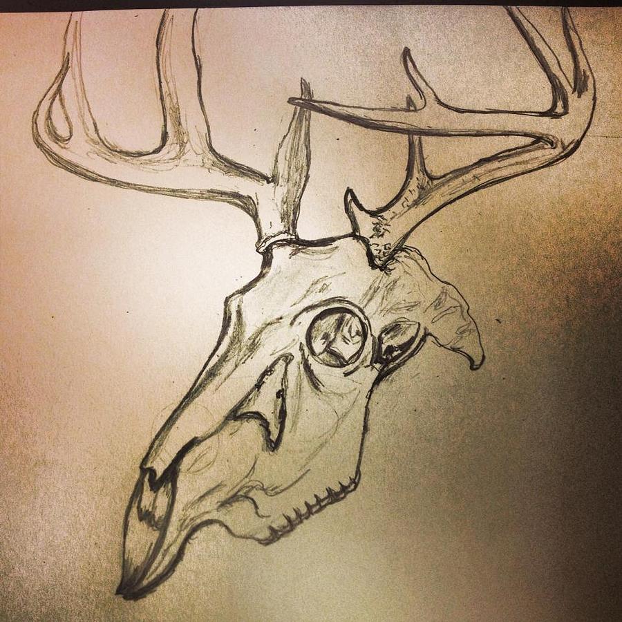 900x900 Skull Drawing By Karina Alfaro