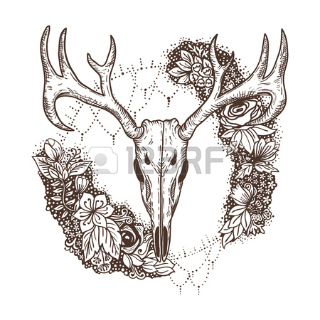 450x450 Stylized Deer Skull Sketch Hand Drawn Original Illustration