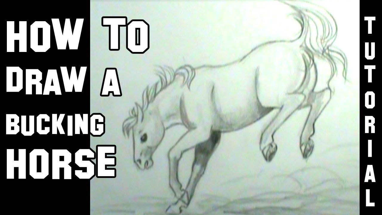 1280x720 How To Draw A Horse Bucking