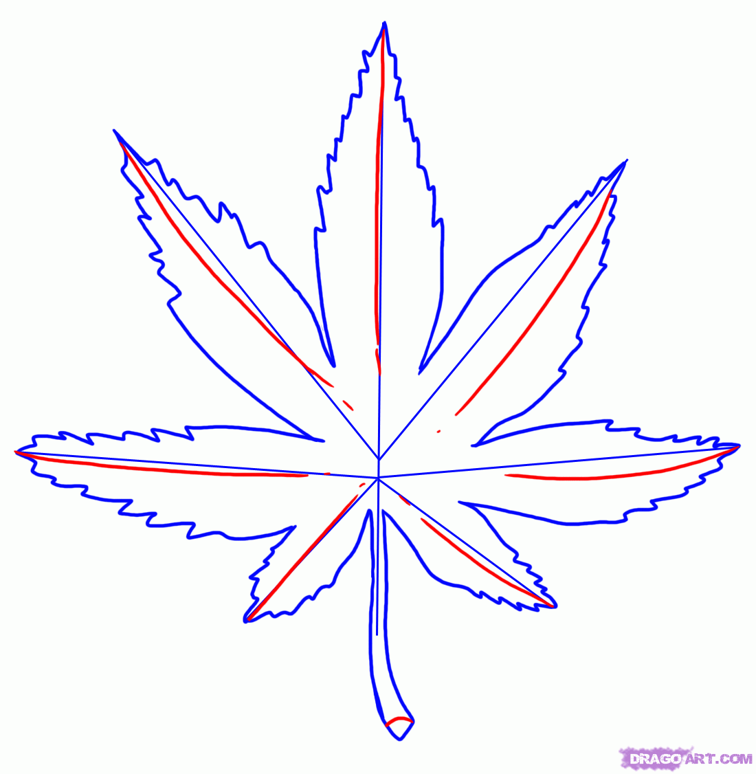 1100x1126 Step 4 (How To Draw A Weed Leaf) Marijuana Leaves