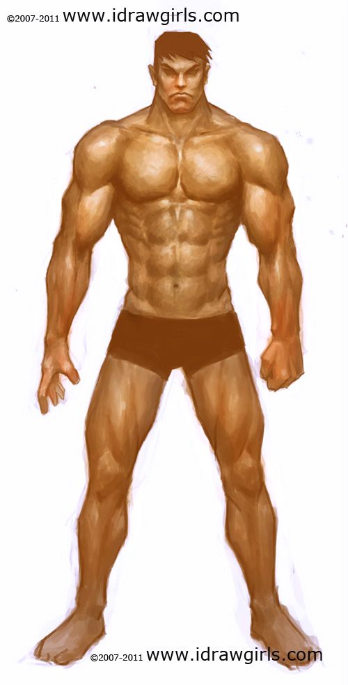 500x984 How To Draw Human, Paint Male Muscle