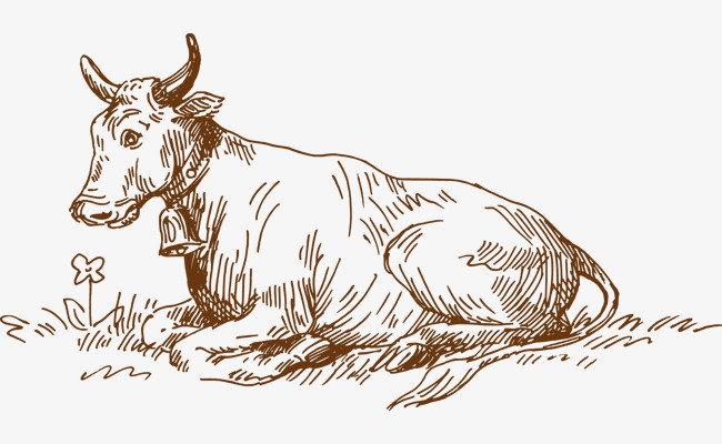 650x400 Line Drawing Buffalo, Line Drawing, Buffalo, Animal Png And Vector