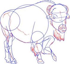 236x214 How To Draw A Buffalo Ideas For The Kids Buffalo