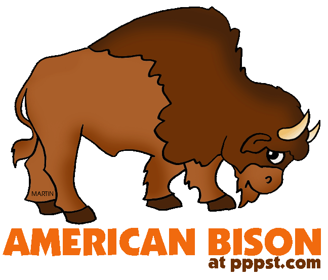 648x553 Free Powerpoint Presentations About American Bison (The Buffalo