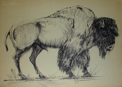 400x285 Fine Art, Buffalo