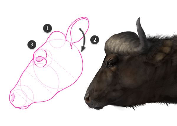 600x427 The 75 Best Images About Figure Drawing