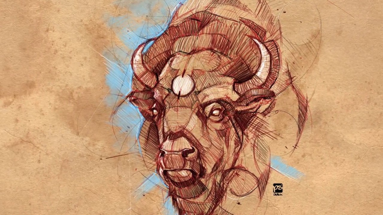 1280x720 Buffalo Timelapse Sketch Psdelux
