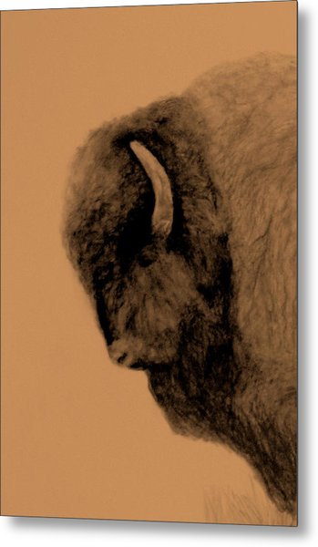 349x600 Buffalo Head Drawing By Susan Tilley